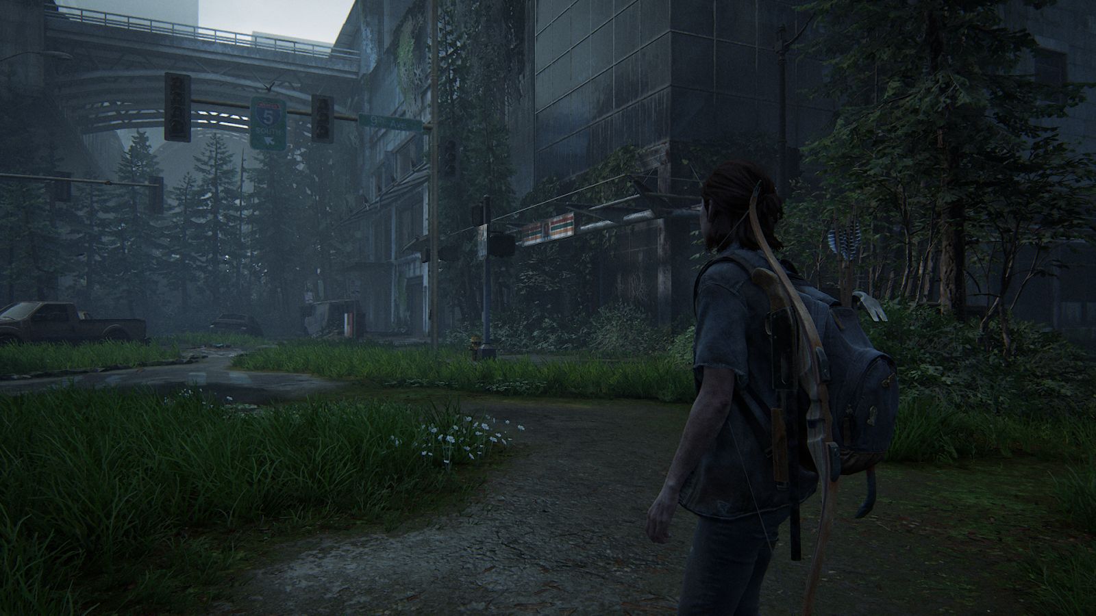 Last of Us Part II - 2